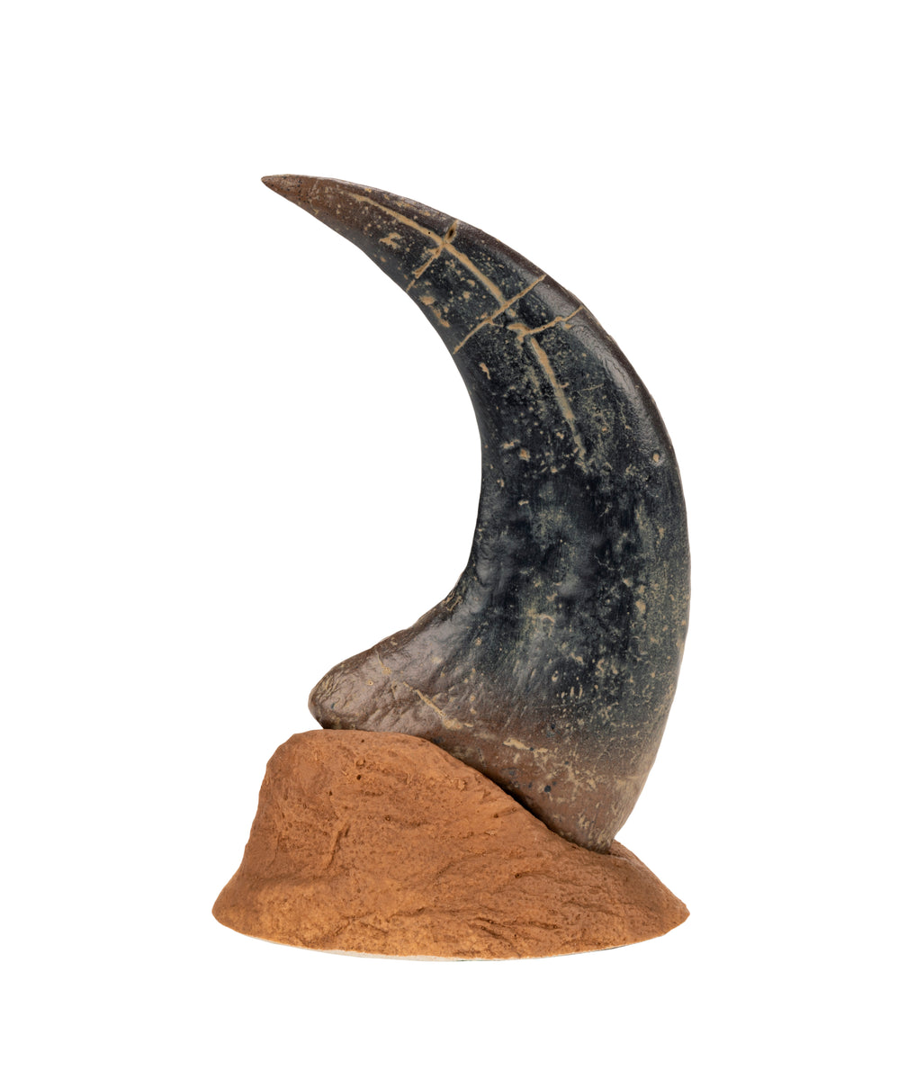 Fossil Replica Utahraptor Claw – Museum Shop at DMNS